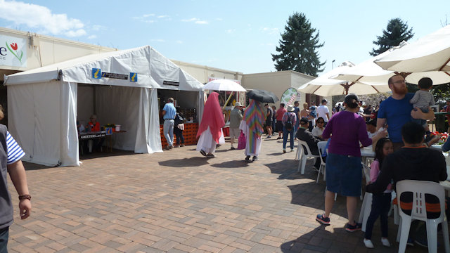 Tulip Time 23/09/2017