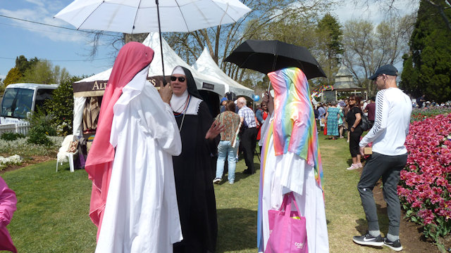 Tulip Time 23/09/2017