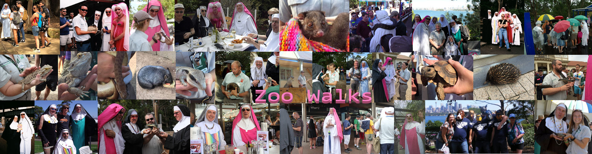 Zoo Walks